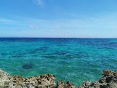 -上野德国文化村