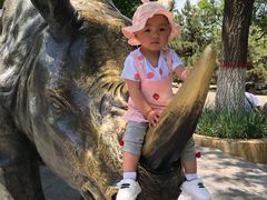 -石家庄市动物园