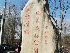 -合肥滨湖国家森林公园