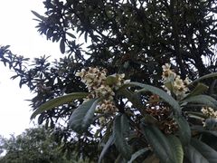 -庐山天沐温泉度假村