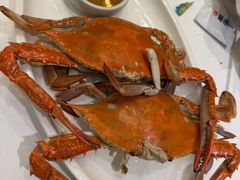 清蒸梭蟹-开海·红岛海鲜虾水饺(石老人店)