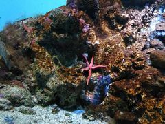 -鹿儿岛水族馆