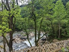 -石台牯牛降景区