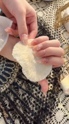 -糖·美学·美甲