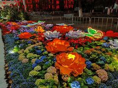 -天河体育中心