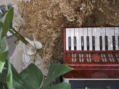 -秘密小花园(第三中学店)