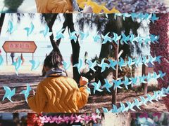 -北海金海湾红树林生态旅游区