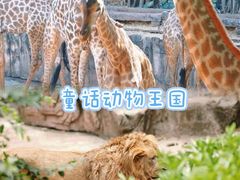 -长鹿旅游休博园