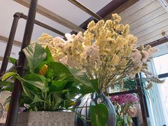 -春暖花开(西溪店)