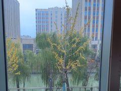 -炊江南·上海菜(国展华漕店)