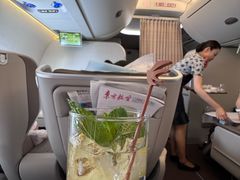 -东方航空(虹桥路店)