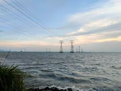 -宝安西湾红树林湿地公园