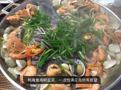 -鸭嘴鱼