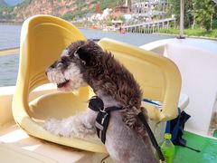 -野三坡刘家河高山漂流