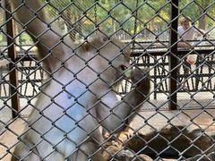 -长白岛森林公园