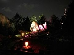 android_upload_pic-上海迪士尼度假区