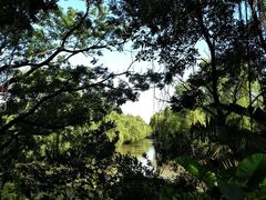 -大湾区中央湿地公园
