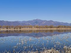 -野鸭湖国家湿地公园