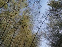 -竹泉村旅游度假区