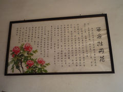 景点-西安牡丹苑