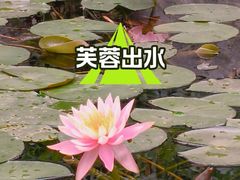 -晓港公园