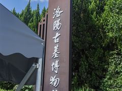 -洛阳古墓博物馆