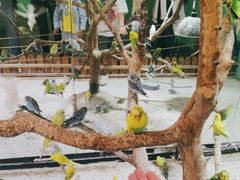 -上海大自然野生昆虫馆