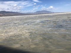-盐湖景区