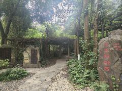 -广西壮族自治区药用植物园