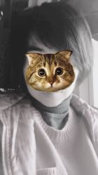 -川禾美发沙龙