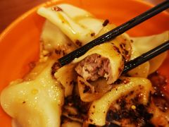 红油钟水饺-龙抄手(春熙路总店)