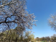 -元大都城垣遗址公园