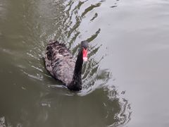 -东华大学(松江校区)