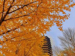 -玲珑塔公园