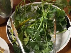 -禄婶鸡煲·打边炉