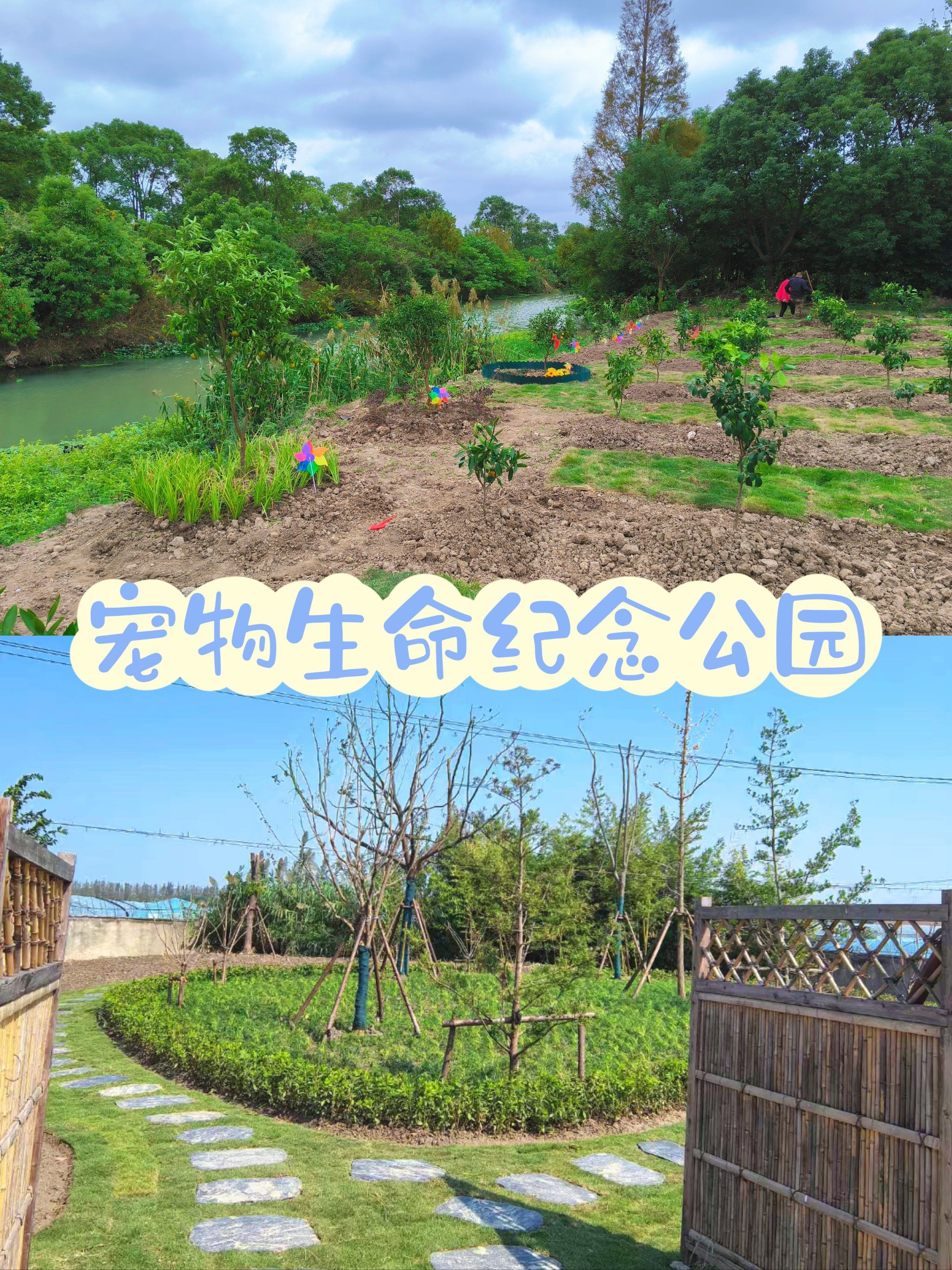 殡葬#宠物墓地#上海宠物墓地#宠物火化#上海宠物殡葬#上海宠物善后