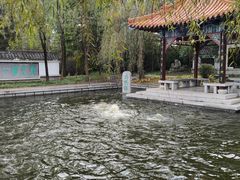-沈阳植物园