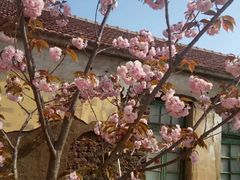 -兰陵国家农业公园