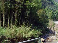 SNV35674-众神白水涧景区