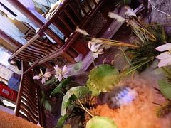 -韵秋荷(宝山龙湖天街店)