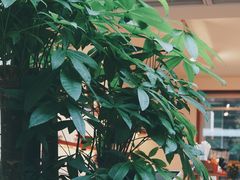 大堂-Line 咖啡(石厦花园店)