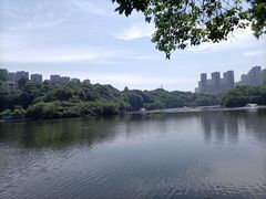 -重庆彩云湖湿地公园