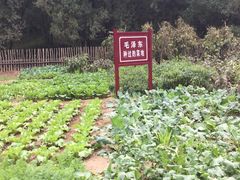 -延安杨家岭革命旧址