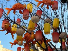 -龙湖星悦荟(颐和店)