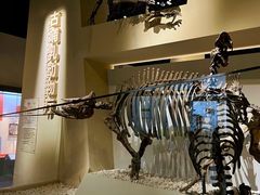 -国家自然博物馆