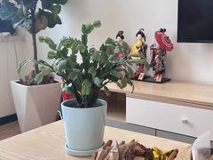 -八号公馆·老上海SPA(深圳北站店)