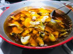 -雲蜀龙阁·金牌水煮鱼(方庄店)