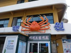 -龙头岩(Dragon Head Rock)