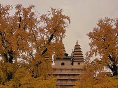 -北京石刻艺术博物馆(五塔寺)