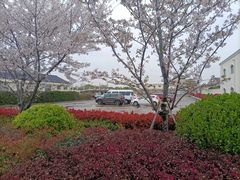 -上海卫家角息园有限公司